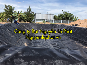 Bạt Lót Ao Hồ Chứa Trữ Nước Nuôi Cá Tại Bình Phước