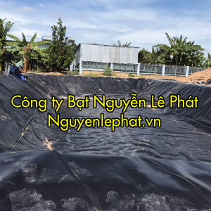 Bạt Lót Ao Hồ Chứa Trữ Nước Nuôi Cá Tại Bình Phước