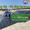 bạt lót ao hồ chứa nước nuôi tôm cá HDPE Vĩnh Long